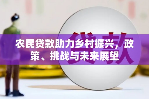 武江农民贷款助力乡村振兴，政策、挑战与未来展望