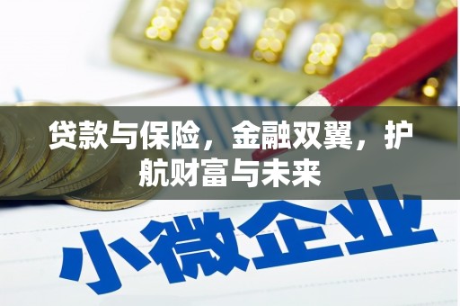 武江贷款与保险，金融双翼，护航财富与未来