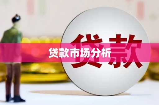 武江贷款市场分析