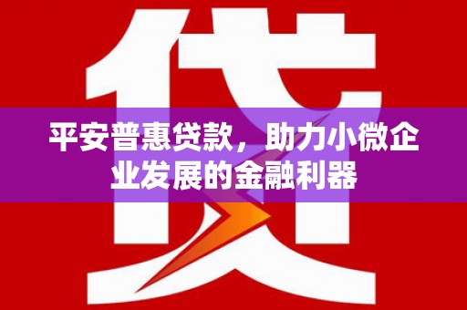 武江平安普惠贷款，助力小微企业发展的金融利器