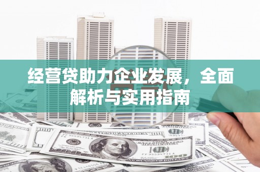 武江经营贷助力企业发展，全面解析与实用指南