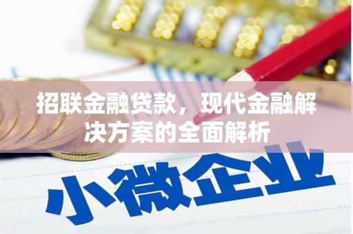 武江招联金融贷款，现代金融解决方案的全面解析