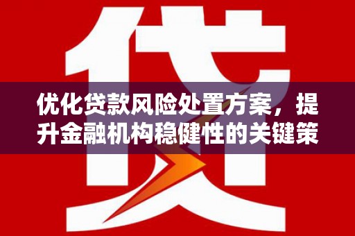 武江优化贷款风险处置方案，提升金融机构稳健性的关键策略