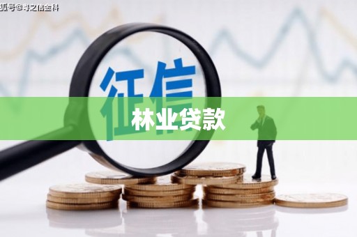 武江林业贷款