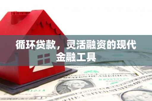 武江循环贷款，灵活融资的现代金融工具