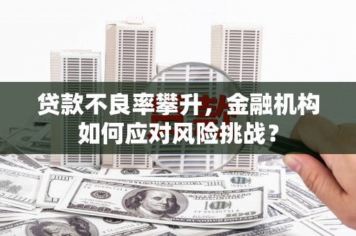 武江贷款不良率攀升，金融机构如何应对风险挑战？
