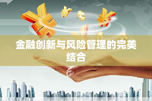 武江金融创新与风险管理的完美结合