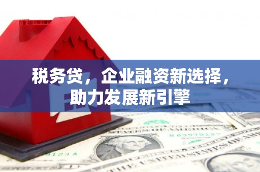 武江税务贷，企业融资新选择，助力发展新引擎