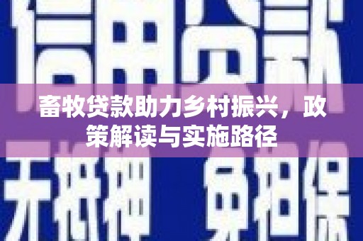 武江畜牧贷款助力乡村振兴，政策解读与实施路径