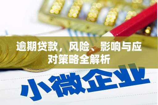 武江逾期贷款，风险、影响与应对策略全解析
