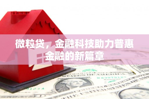 武江微粒贷，金融科技助力普惠金融的新篇章