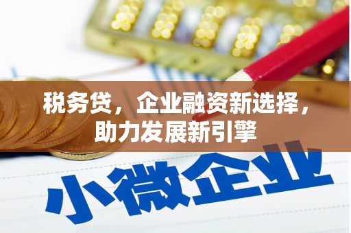 武江税务贷，企业融资新选择，助力发展新引擎