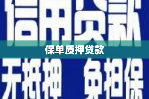 武江保单质押贷款