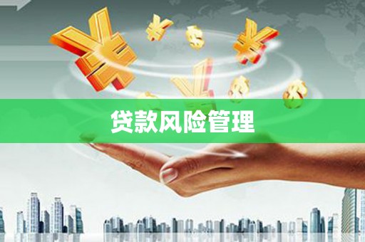 武江贷款风险管理