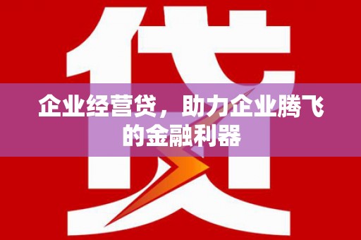 武江企业经营贷，助力企业腾飞的金融利器