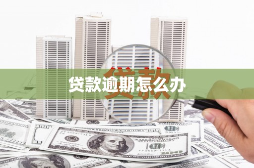 武江贷款逾期怎么办