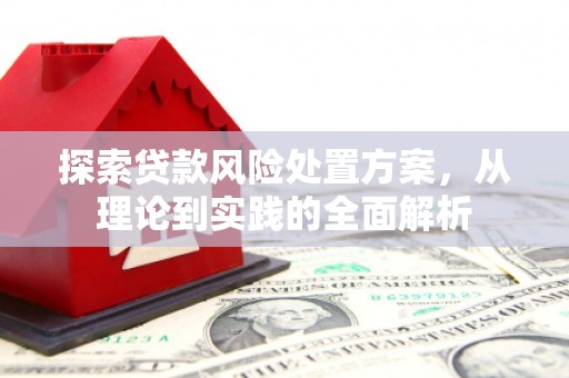武江探索贷款风险处置方案，从理论到实践的全面解析