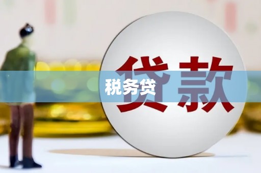 武江税务贷