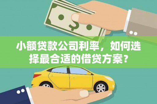 武江小额贷款公司利率，如何选择最合适的借贷方案？