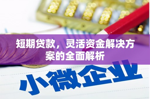 武江短期贷款，灵活资金解决方案的全面解析