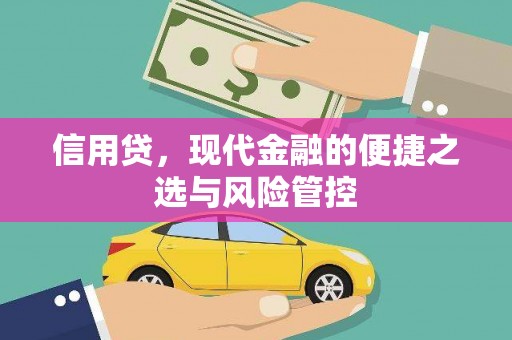武江信用贷，现代金融的便捷之选与风险管控