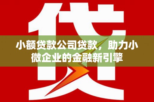 武江小额贷款公司贷款，助力小微企业的金融新引擎