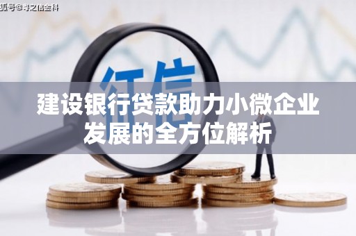 武江建设银行贷款助力小微企业发展的全方位解析