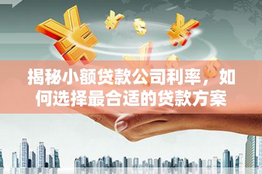 武江揭秘小额贷款公司利率，如何选择最合适的贷款方案