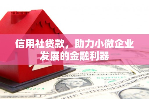 武江信用社贷款，助力小微企业发展的金融利器