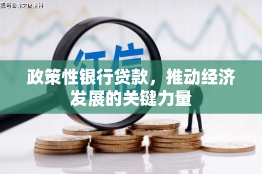 武江政策性银行贷款，推动经济发展的关键力量