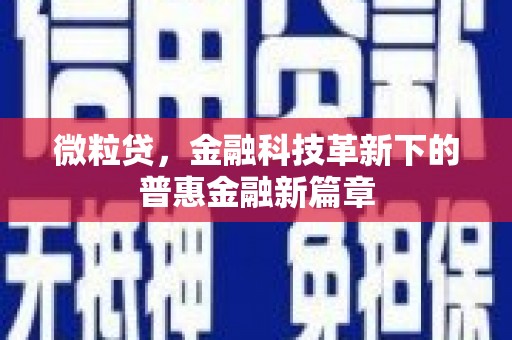 武江微粒贷，金融科技革新下的普惠金融新篇章