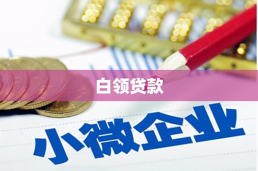 武江白领贷款