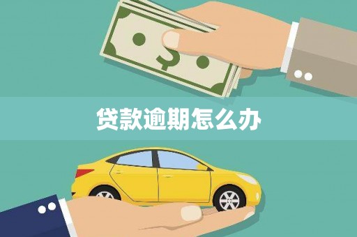 武江贷款逾期怎么办