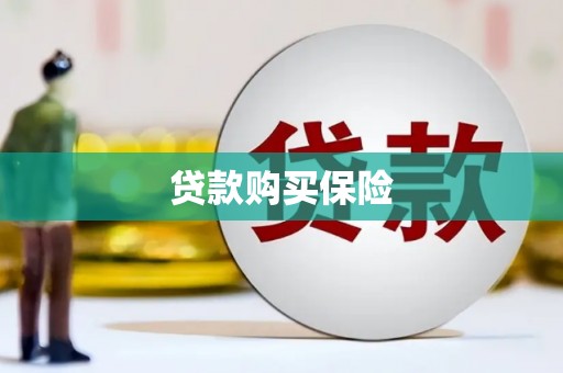 武江贷款购买保险