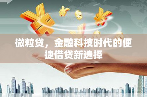 武江微粒贷，金融科技时代的便捷借贷新选择