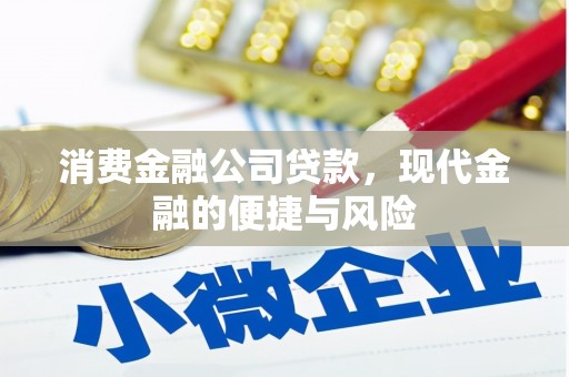 武江消费金融公司贷款，现代金融的便捷与风险