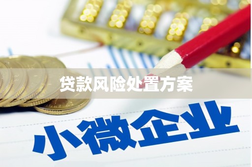 武江贷款风险处置方案