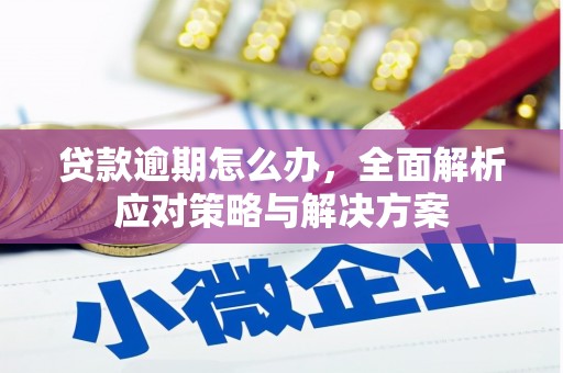 武江贷款逾期怎么办，全面解析应对策略与解决方案