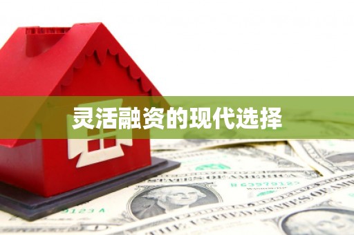 武江灵活融资的现代选择