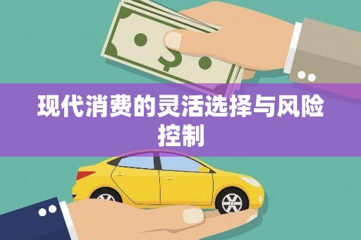 武江现代消费的灵活选择与风险控制
