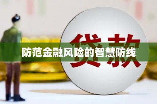 武江防范金融风险的智慧防线