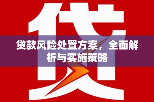 武江贷款风险处置方案，全面解析与实施策略