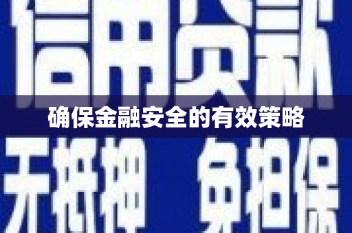 武江确保金融安全的有效策略