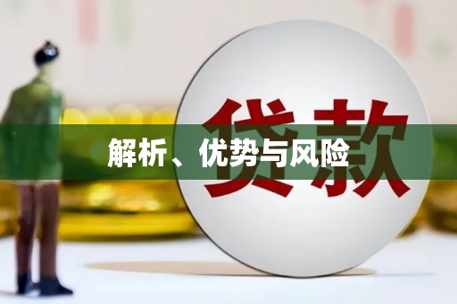 武江解析、优势与风险