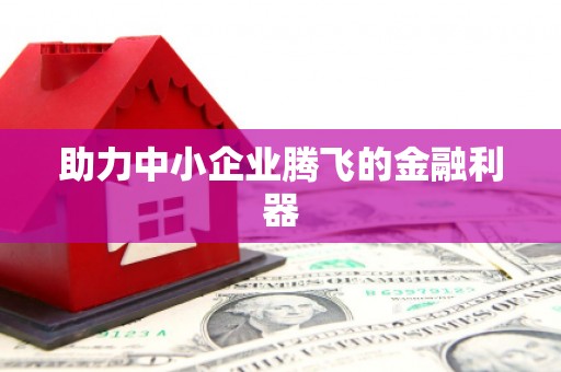 武江助力中小企业腾飞的金融利器
