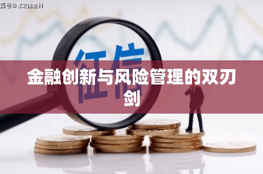 武江金融创新与风险管理的双刃剑
