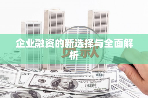 武江企业融资的新选择与全面解析